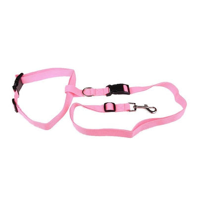 Traction Pulling Leash