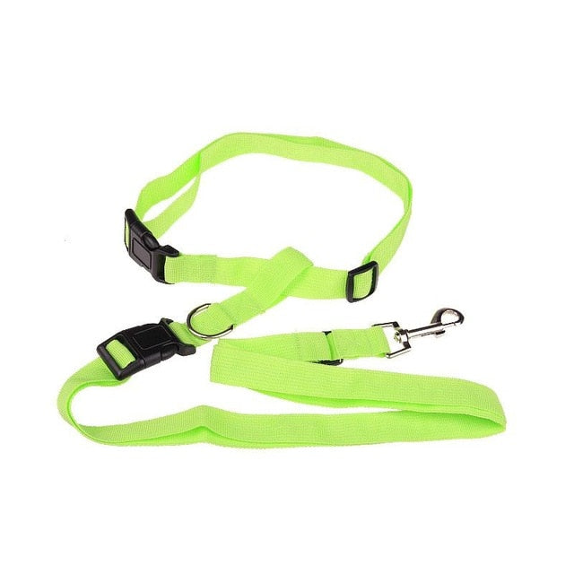 Traction Pulling Leash