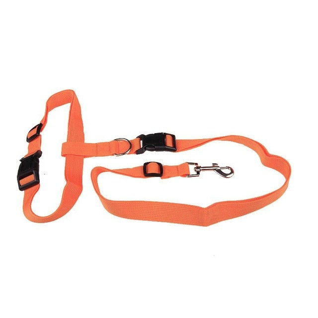 Traction Pulling Leash